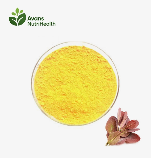 Fisetin Extract Powder